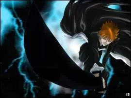 Qui a appris le Bankai  Ichigo dans la Soul Society ?