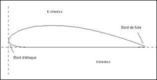 Quel est le nom du profil d'une aile ?