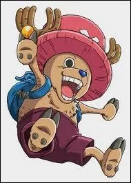Quel mtier exerce Tony Tony Chopper ?