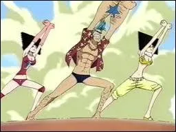 Comment s'appelle l'alliance dont Franky tait le chef ?