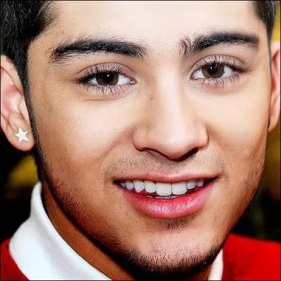 Comment s'appellent les deux ex-petites amies de Zayn qui taient candidates galement  'X Factor UK' ?