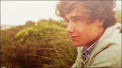 De quoi a peur Liam ?