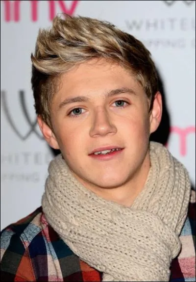 De quel instrument joue Niall ?