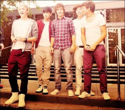 Avec quel chanteur les One Direction ont-ils chant  'X Factor UK' ?