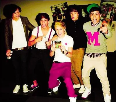 En quelle anne les One Direction ont-ils particip  'X Factor UK' ?