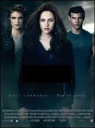 Ce film a eu beaucoup de succs auprs des filles, entre autres. Il est sorti le 7 juillet 2010. Quel est son titre ?