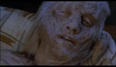 Comment s'appelle le fils de Seth Brundle dans 'La Mouche 2' ?