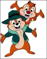 Comment s'appellent ces frres rangers du risque ?