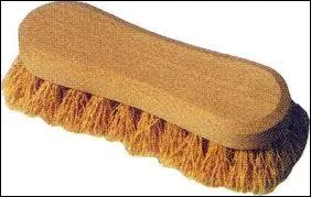 Comment appelle-t-on ce type de brosse ?