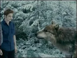 Qui aide Edward  tuer Victoria et Riley en tuant Riley ?