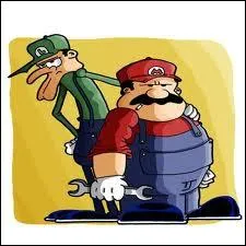 A quels frères vous fait penser cette caricature ?