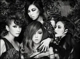 Comment s'appelle le fanclub des Brown Eyed Girls ?