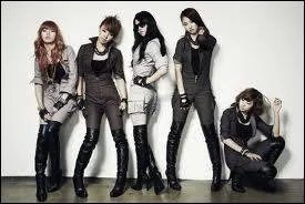 Comment s'appelle le fanclub des 4minute ?