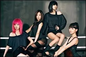 Comment s'appelle le fanclub des Miss A ?