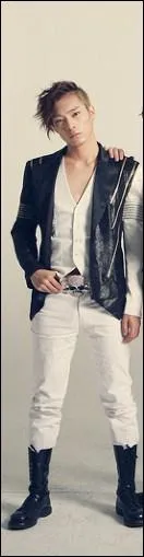 Qui est chanteur principal ?