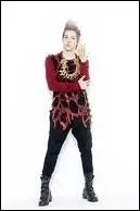 Qui est le chanteur principal ?