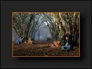 Quel est cet épisode ?