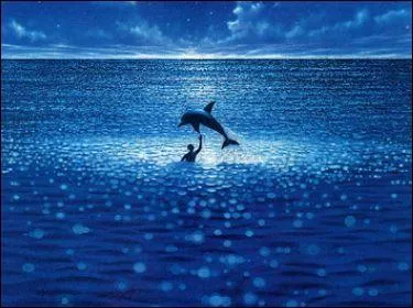 Jacques Mayol lui prfre le 'Grand Bleu'