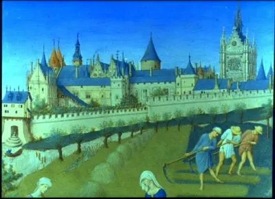 A l'�poque de Saint Louis, le palais principal des rois de France est... ?