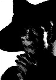 Qui est ce professeur de Poudlard ?