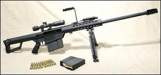 Le plus clbre et le plus rpandu des fusils pour tir de prcision :