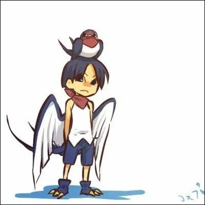 Quel est ce Pokmon ?