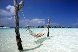 Le principal but des grands explorateurs est de ... :