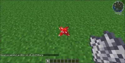 Que fait la poudre d'os sur un champignon ?