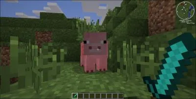 En combien de coups d'pe en diamant tue-t-on un cochon ?