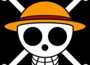 Quiz Drapeaux pirates de One Piece