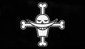 A qui appartient ce drapeau ?