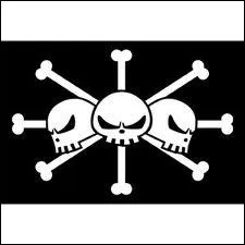 A qui appartient ce drapeau ?