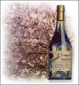 Le Kirsch est produit  partir ...