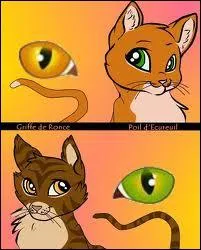 Qui sont les enfants de Griffe de Ronce et de Poil d'Ecureuil ?