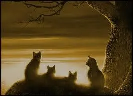 Qui fut, pendant une priode, l'apprenti d' Etoile de Feu ?