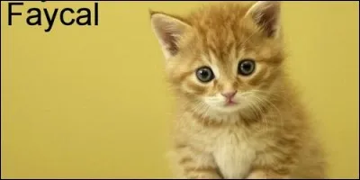 De quelle origine vient le prénom Fayçal ?