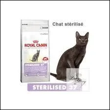 Striliss, les chats vivent plus longtemps que les chats entiers.