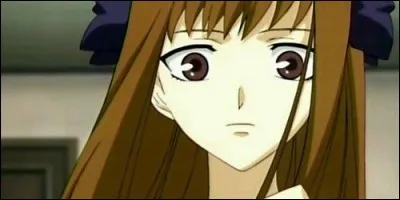 Qui est Mokoto Minagawa ?