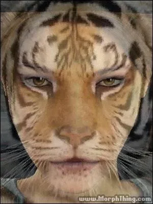 Savez-vous reconnatre ce hros de jeu vido et cet animal ?