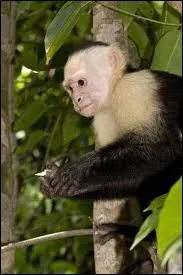 Il porte un nom trs catholique !