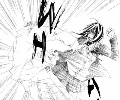 Comment ce manga se nomme-t-il ?