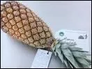 Quelle est cette varit d'ananas de forme allonge, qui n'existe qu'en Guadeloupe ?