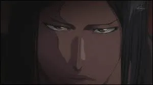 Qui est ce fullbringer ?