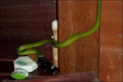 La premire fut tente !