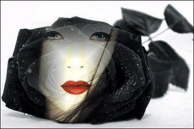 Quel est ce film sur l'histoire d'une jeune Japonaise, sorti en 2004 ?