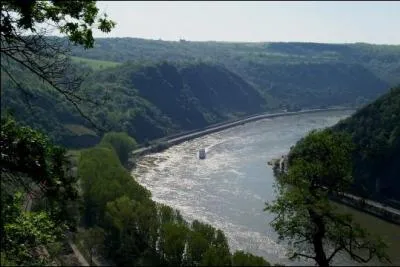 Le Rhin traverse l'Allemagne sur un peu plus de 700 km. Parmi les villes suivantes laquelle n'est PAS situe sur son parcours ?