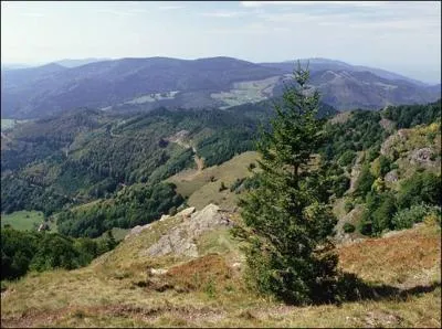 Quel est le nom du massif montagneux du Sud-Ouest de l'Allemagne, spar de celui des Vosges par la valle du Rhin ?