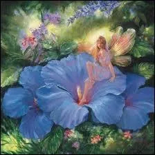 A quel conte de fe vous fait penser cette image ?