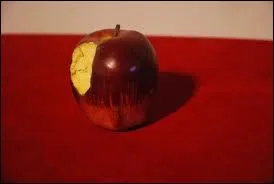 A quel conte de fe vous fait penser cette image ?