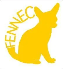 Le fennec habite les dserts du Maroc, aux abords de l'Arabie saoudite et au :